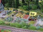 noch_garden.jpg